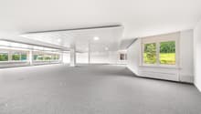 Spacious room with white walls, gray carpet flooring, large windows, ceiling with built-in lights