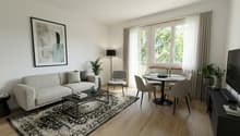 modern design, L-shaped sofa, coffee table, TV, dining table, dining chairs, carpet, potted plants, picture frame