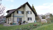 2 story house, beige exterior, brown roof, large windows, garden, patio, dog