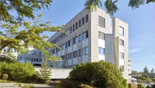 Office building, light grey facade, many windows, concrete base, multiple floors, green shrubs, trees, steps to the entrance.