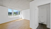 WG-ZIMMER.jpg