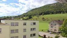 Two buildings, one with a green roof, another with a brown roof, surrounded by a green field and a mountain