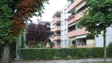 Immagine dell’oggetto