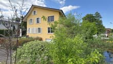 Immagine dell’oggetto