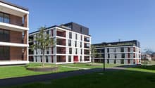 Immagine dell’oggetto