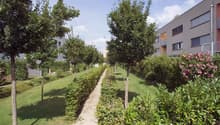 Liegenschaft