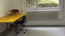 Image de l’objet