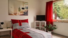 Double bed, red and gray bedding, desk with lamp and book, TV on stand, window with red curtains, potted plant, small shelf with items, picture frame