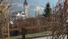 fence, grass, trees, road, mountain, tower, buildings
