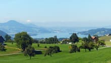 lush green lawn, trees, distant buildings, view of mountains and lake