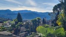 The image shows a scenic view of a mountainous landscape with a town nestled in the valley below. The foreground features lush greenery, including palm trees and other tropical vegetation, creating a picturesque and serene atmosphere. The background is do