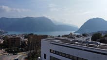 Immagine dell’oggetto