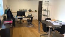 modern office with desks, chairs, shelves, computer monitor, books, potted plants, windows, lamps