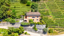 Immagine dell’oggetto