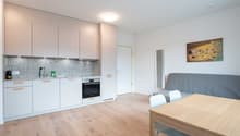 The image shows an open-plan kitchen and living room area. The kitchen features light-colored cabinets, a granite or stone backsplash, and a built-in oven and dishwasher. The living room area has a gray sofa and a wooden dining table with chairs. The floo
