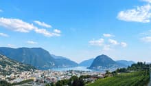 Immagine dell’oggetto
