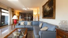 large blue sofa, glass coffee table, wooden cabinet, bookshelves, large window, painting