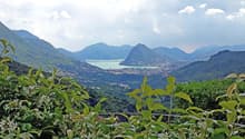 Immagine dell’oggetto