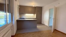 kitchen and living room, wooden floor, grey kitchen cabinets, kitchen island, open to living room, kitchen with sink, large window