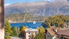 Panoramic mountain view, lake, village, trees, houses