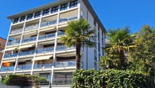 Multi-story apartment building with balconies, surrounded by palm trees and greenery