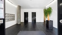 modern hallway, black tiled floor, white walls, two doors, potted plant, mailboxes