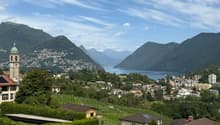 Immagine dell’oggetto