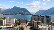 Immagine dell’oggetto