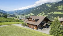 Mountain chalet, wooden exterior, pitched roof, front porch, driveway, green fields, mountain range, clear skies