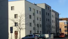 DSC06478.JPG