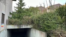 Immagine dell’oggetto