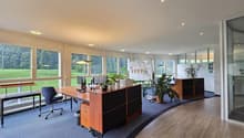 modern office with large windows, wooden desk, office chairs, and potted plants