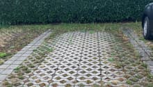 Immagine dell’oggetto