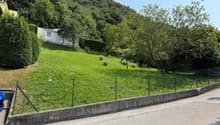Immagine dell’oggetto