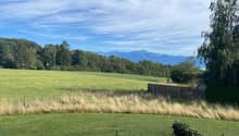 open field with high grass, wooden fence, mountain range in the distance
