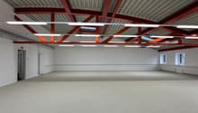 Empty room, steel roof, white walls, fluorescent lighting, concrete floor, windows, doors