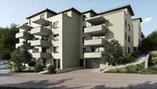 Neubauprojekt-Niederdorf-BL_Aussen-angepasst.jpg