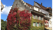 Multistory building with red and green leaves, white windows, brown roof