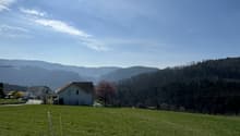Immagine dell’oggetto