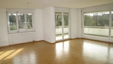 Spacious room, wooden floor, large windows, balcony, trees view