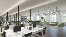 Modern office space with rows of desks and computer setups, contemporary lighting, a small couch area, and greenery