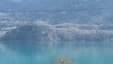 Immagine dell’oggetto