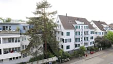 1R7A1215_-_Kopie_2.jpg