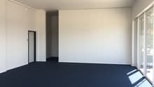 empty room, white walls, blue carpet, glass doors, white ceiling