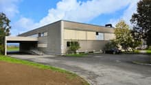 Immagine dell’oggetto