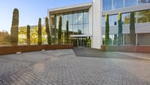 modern office building with glass walls, glass entrance, wide concrete brick courtyard, trees