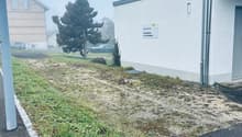 small area with grass, next to a building, car parked in the distance, pathway leading to the building, some dried grass areas