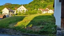 Houses overlooking a slope, surrounded by greenery and a clear sky