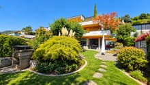 Sonniger Garten