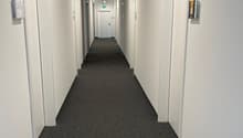 empty corridor with doors, carpeted floor, illuminated by fluorescent ceiling lights